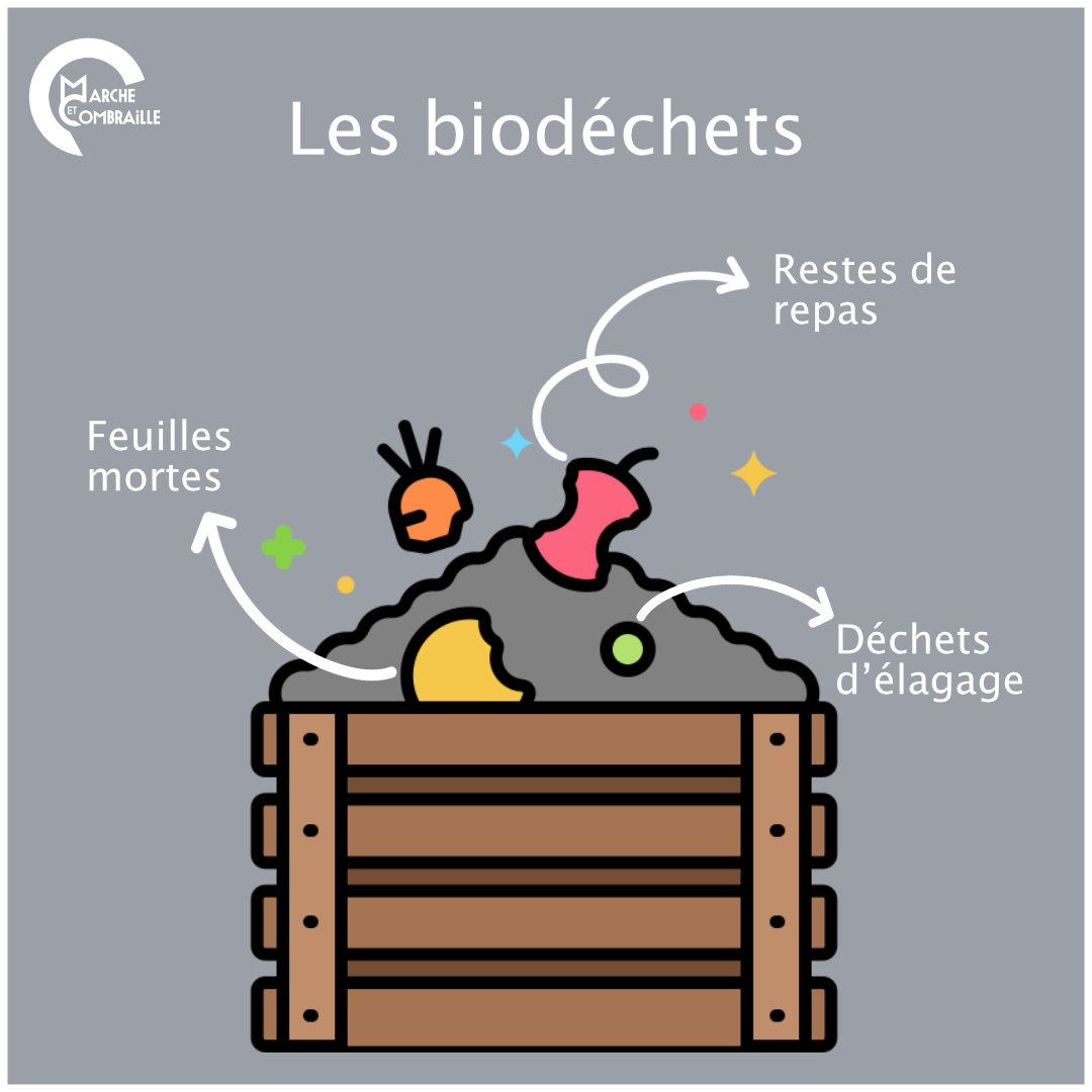 Identifier les biodéchets pour limiter les ordures ménagères. Les biodéchets sont : les feuilles mortes, les restes de repas, les déchets d'élagage